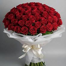 Букет 101 Красная роза Блэк Мэджик в Алабушево