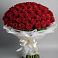 Букет 101 Красная роза Блэк Мэджик в Алабушево