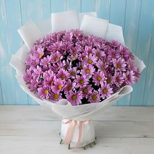 Букет цветов из:  Хризантемы в Алабушево