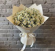 Букет цветов из:  Ромашки #REPLACE_PRED# Алабушево