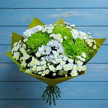 Букет цветов из:  Хризантемы #REPLACE_PRED# Алабушево