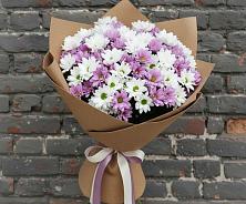 Букет цветов из:  Хризантемы в Алабушево