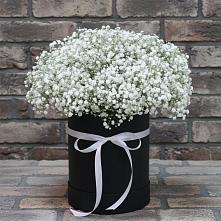 Цветочная композиция из Гипсофила в шляпной коробке в Алабушево