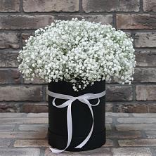 Цветочная композиция из Гипсофила в шляпной коробке в Алабушево