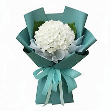Букет цветов из:  Гортензия в Алабушево